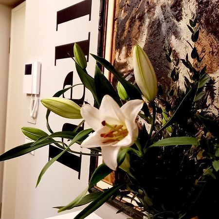 Sky Loft Nuovissimo Vicinanze Metro Apartment Turin Luaran gambar